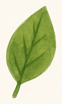 Hoja